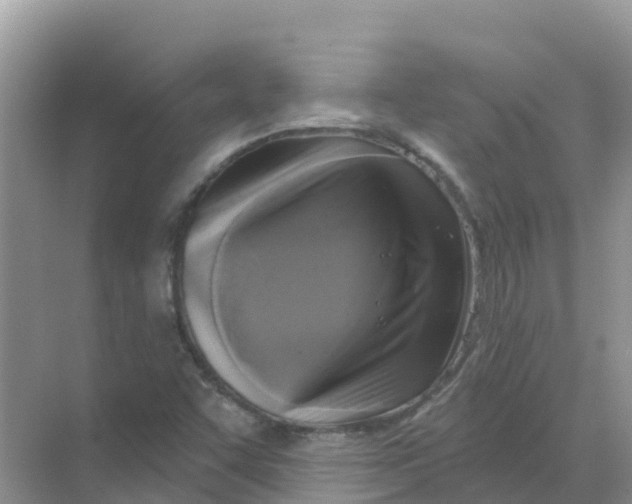 X0000069361455200605261946