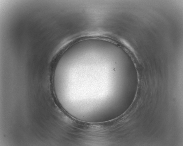 X0000069361456200605261946