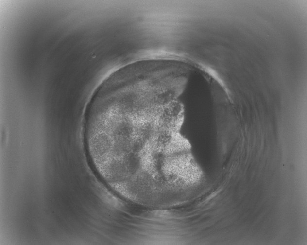 X0000069361463200605261946