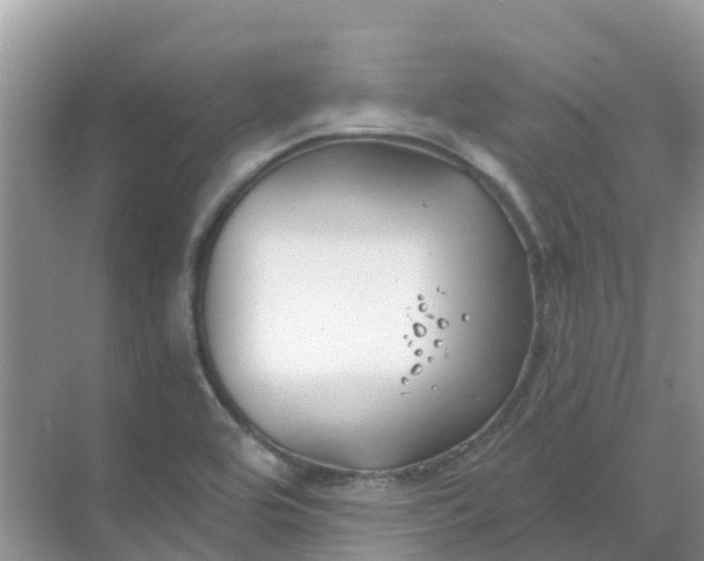 X0000069361464200605261946