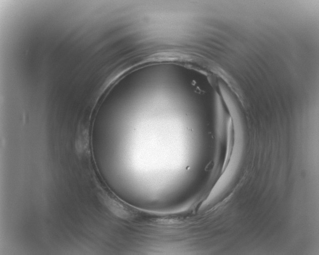 X0000069361465200605261946