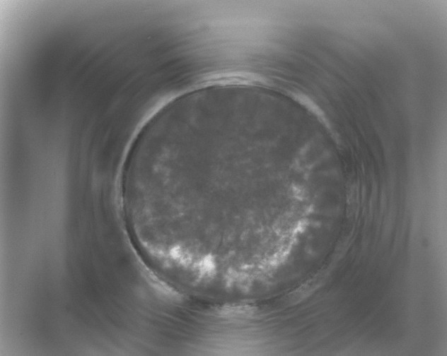 X0000069361466200605261946