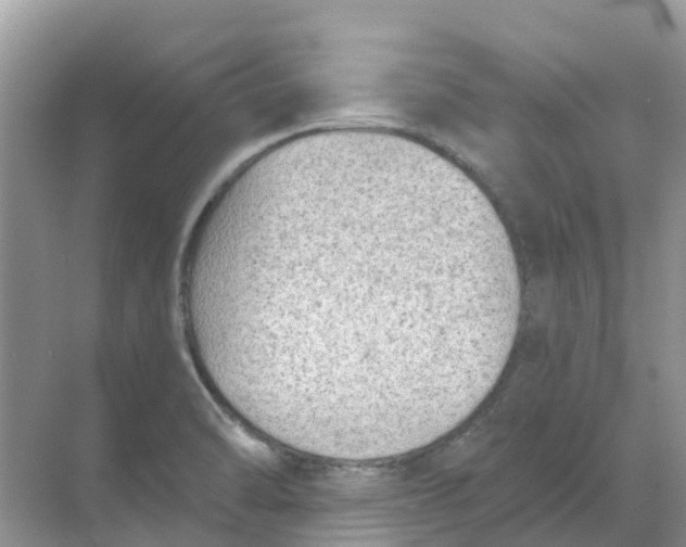 X0000069361470200605261946