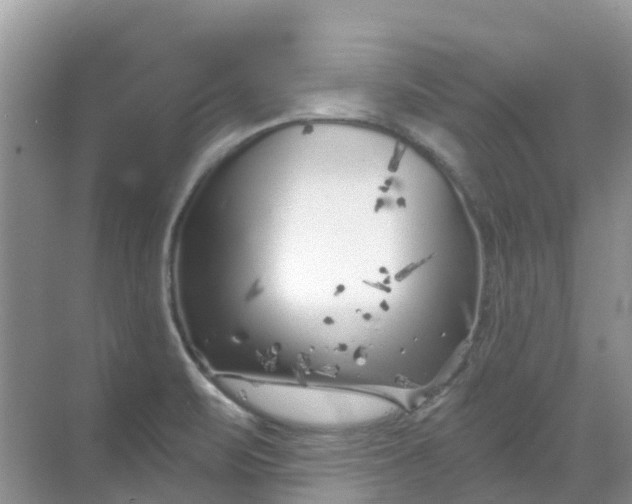 X0000069361471200605261946