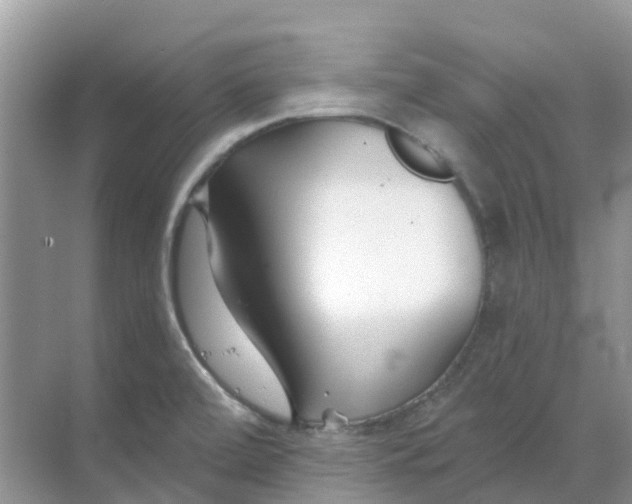 X0000069361472200605261946