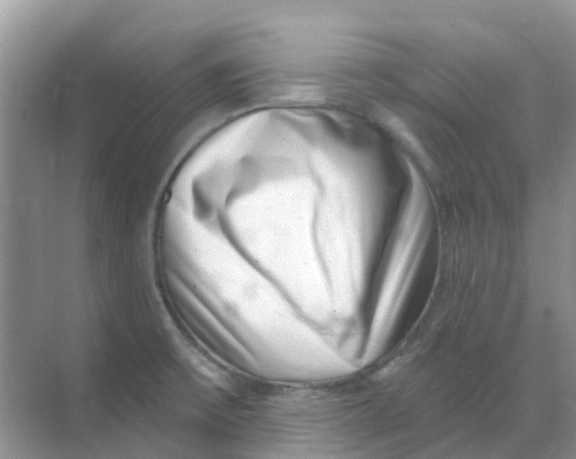 X0000069361475200605261946