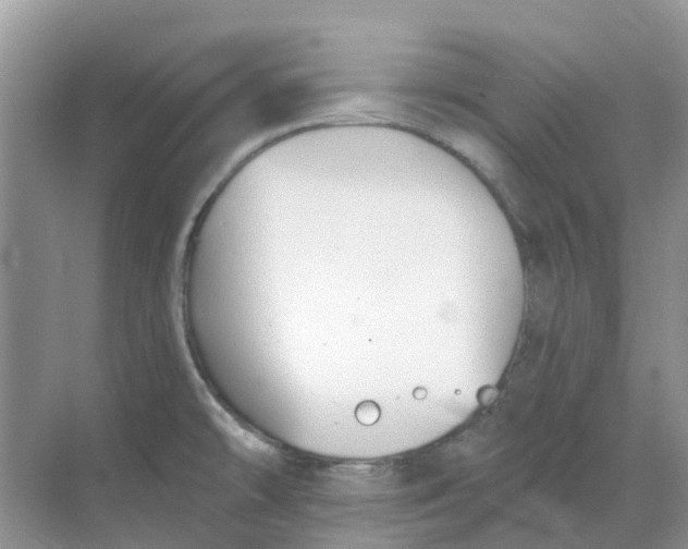 X0000069361478200605261946