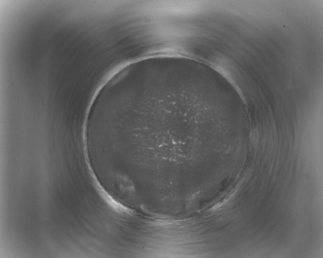 X0000069361482200605261946