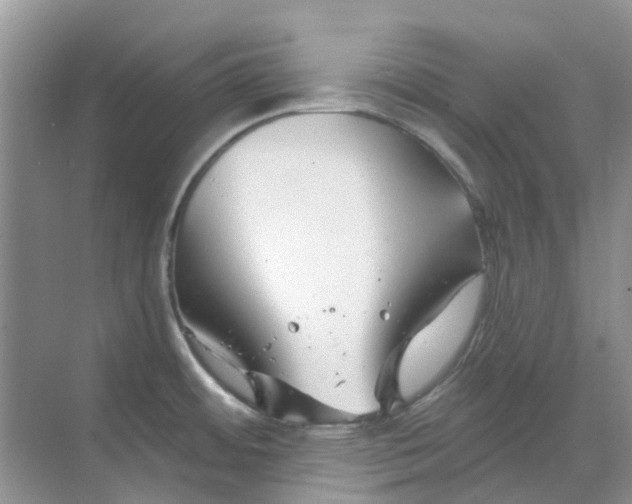 X0000069361484200605261946