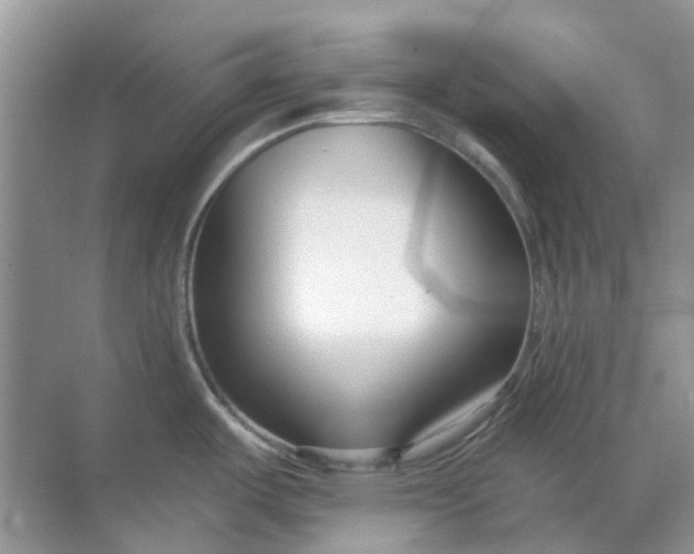 X0000069361487200605261946