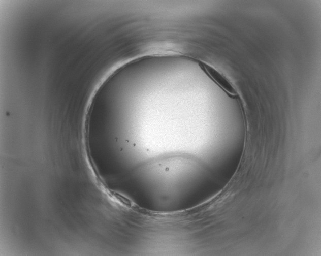 X0000069361488200605261946