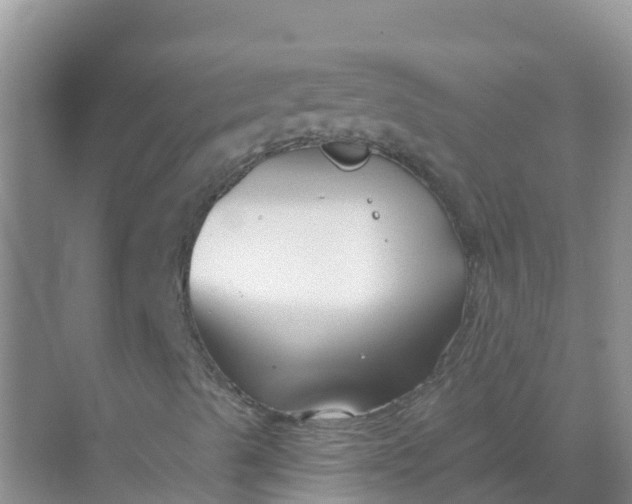 X0000069361489200605261945