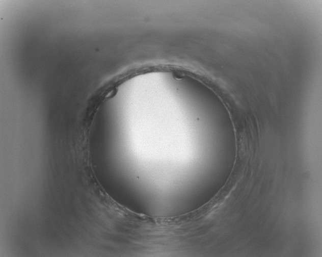 X0000069361494200605261945