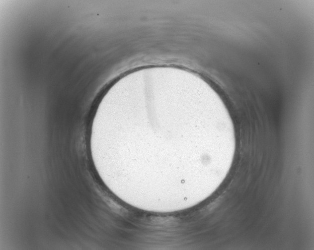 X0000069361498200605261945