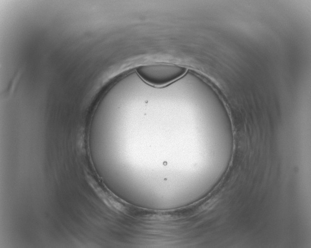 X0000069361499200605261945