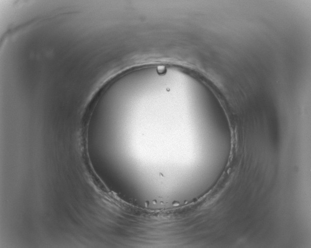 X0000069361501200605261945