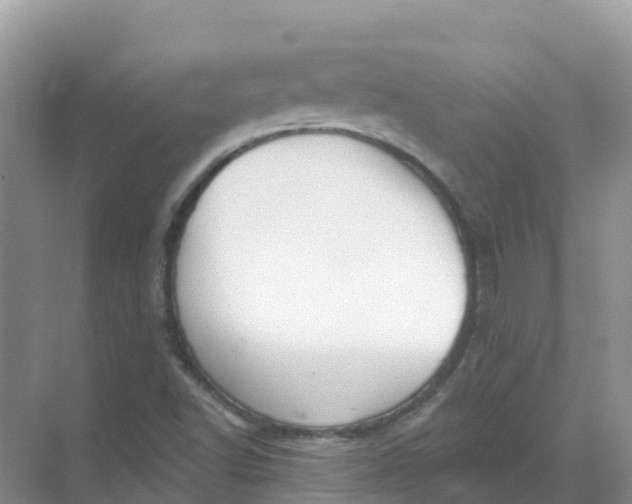 X0000069361502200605261945