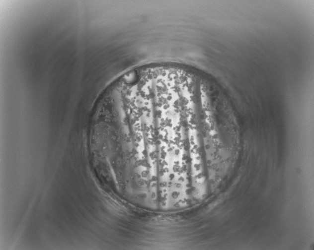 X0000069361505200605261945