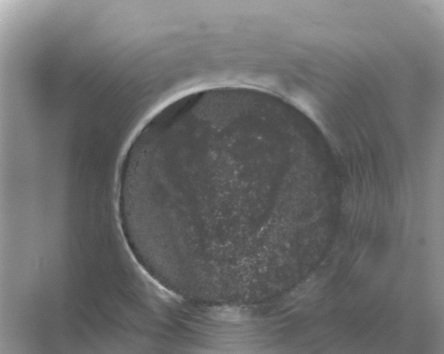 X0000069361508200605261945