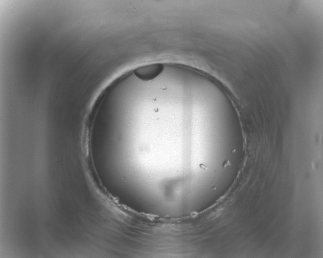 X0000069361510200605261945