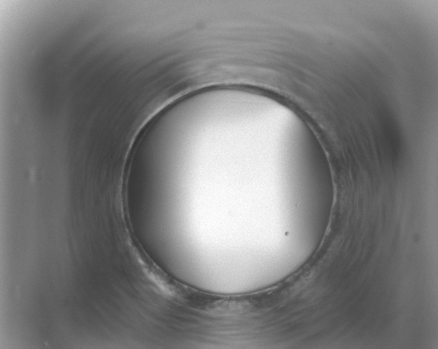 X0000069361513200605261945