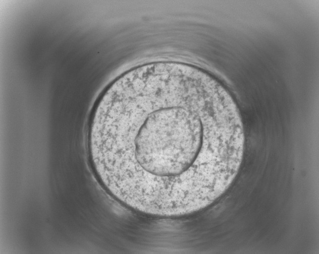 X0000069361514200605261945