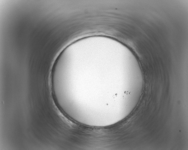 X0000069361516200605261945