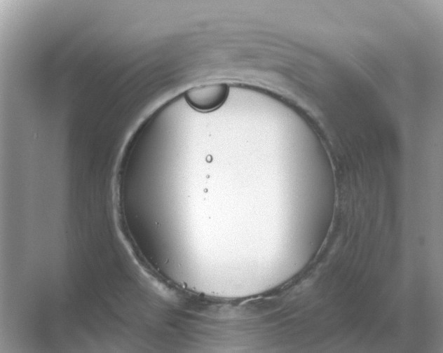 X0000069361517200605261945