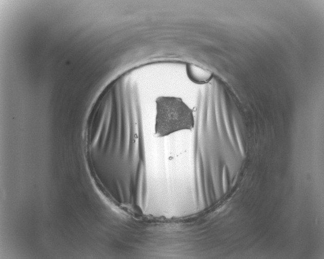 X0000069361519200605261945