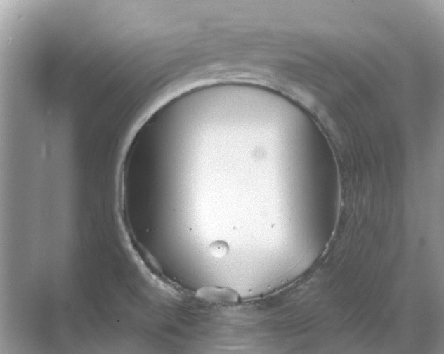 X0000069361520200605261945