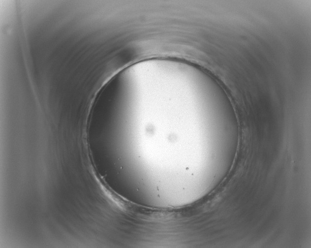 X0000069361521200605261945