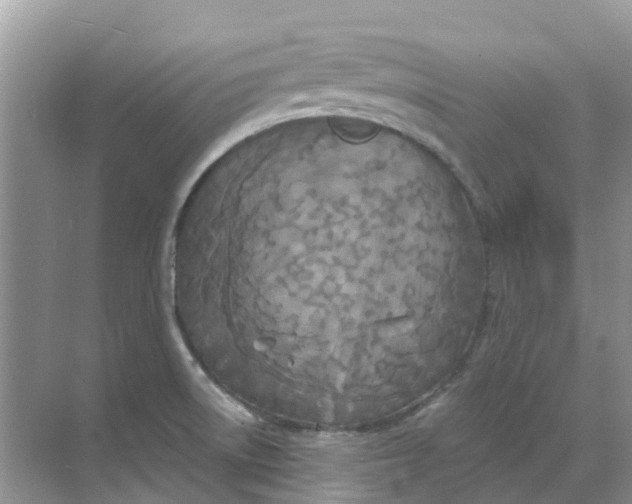 X0000069361522200605261945