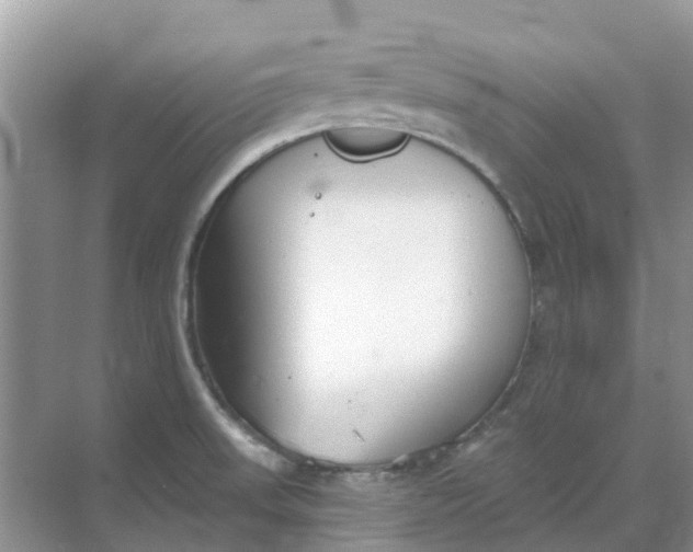 X0000069361523200605261945