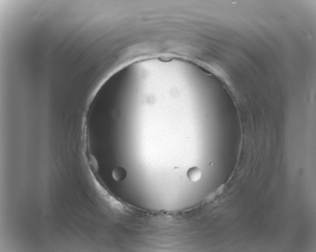 X0000069361524200605261945