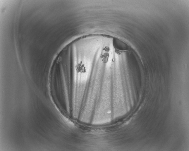 X0000069361525200605261945