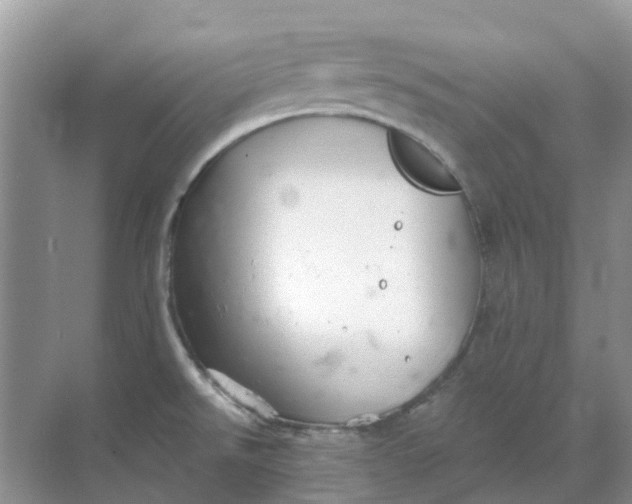 X0000069361526200605261945