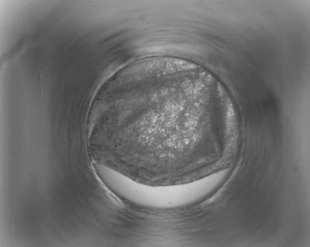 X0000069361529200605261945