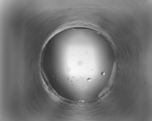 X0000069361530200605261945