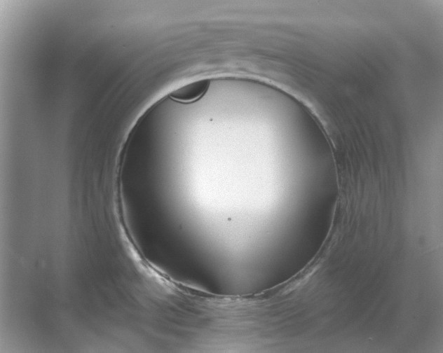 X0000069361534200605261946