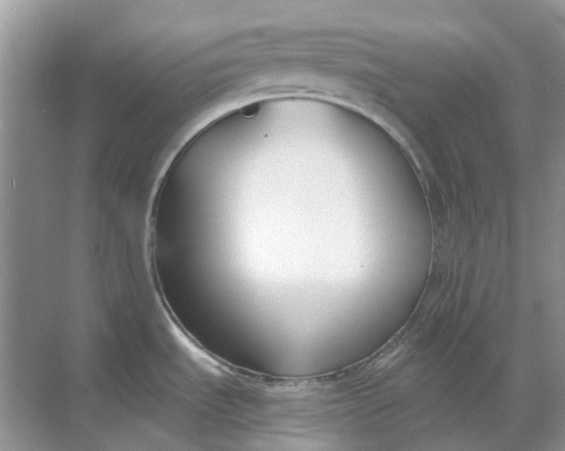 X0000069361535200605261946