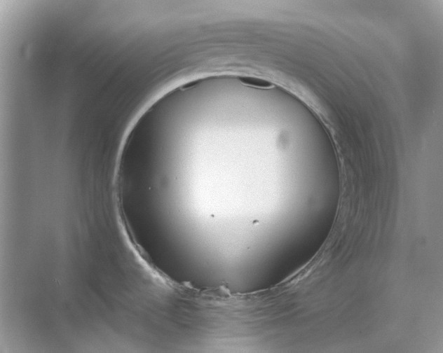 X0000069361536200605261946