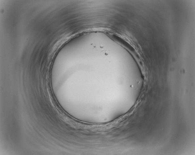 X0000069360001200606021504