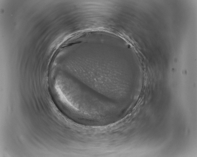 X0000069360002200606021504