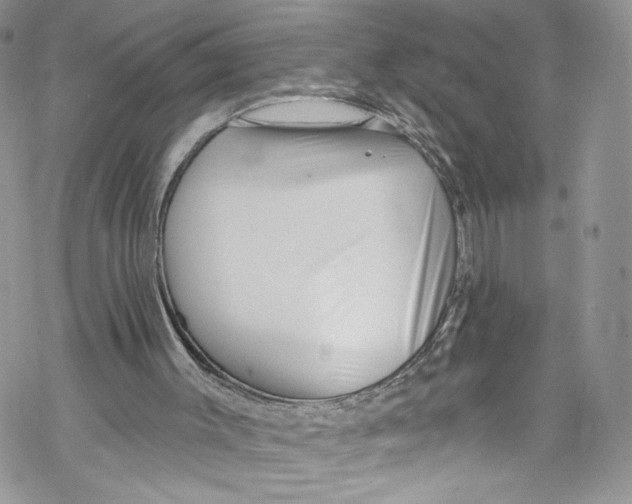 X0000069360003200606021504