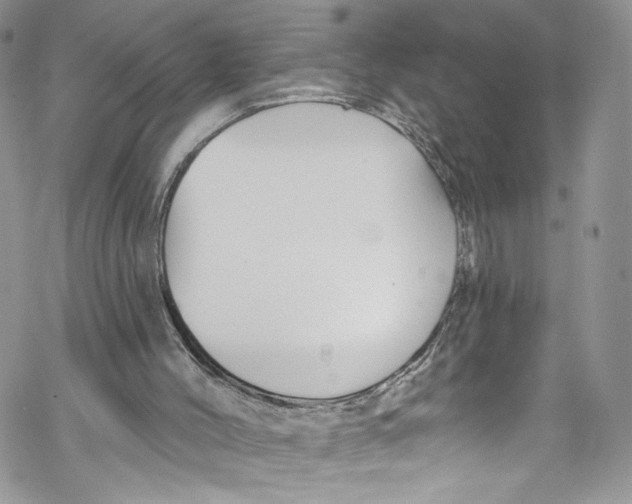 X0000069360004200606021504