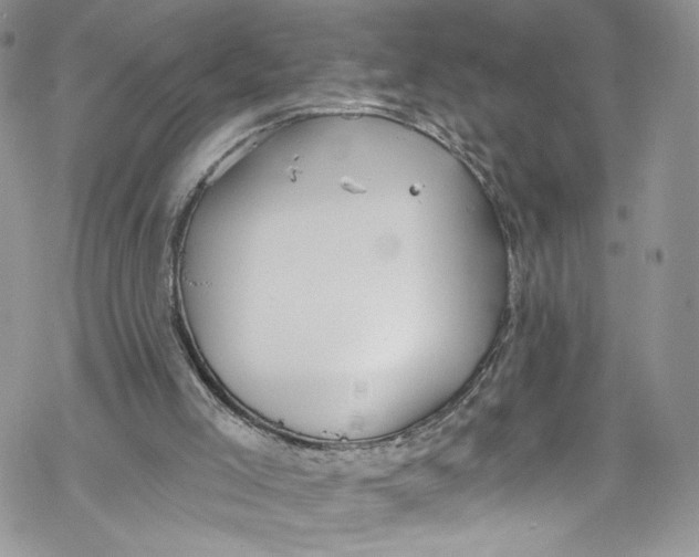 X0000069360005200606021504