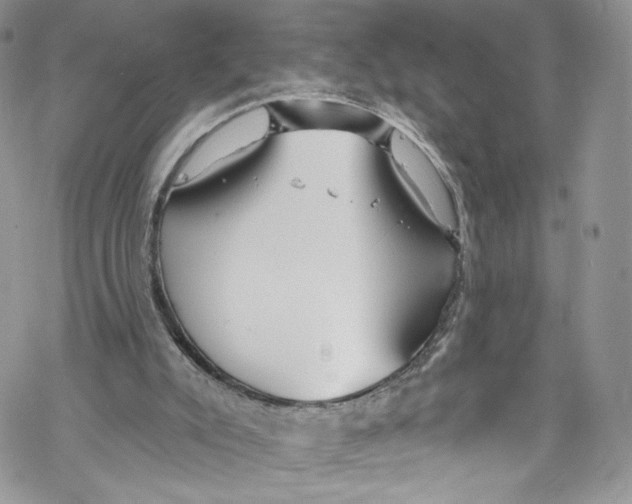 X0000069360007200606021504