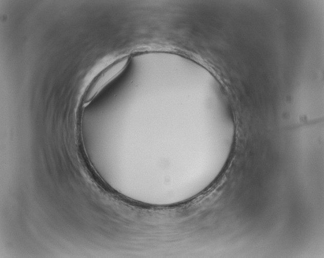 X0000069360008200606021504