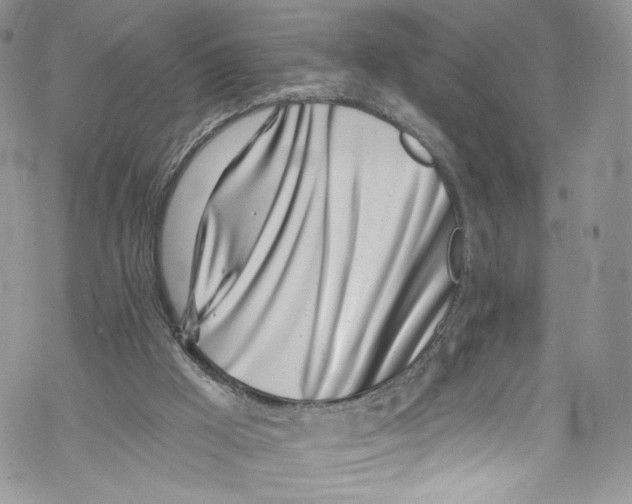 X0000069360009200606021504