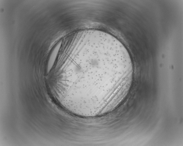 X0000069360010200606021504